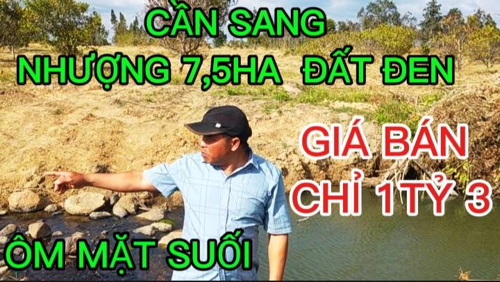 Đất nền Chư Prông 7,5ha giá thỏa thuận - Cơ hội đầu tư hấp dẫn!