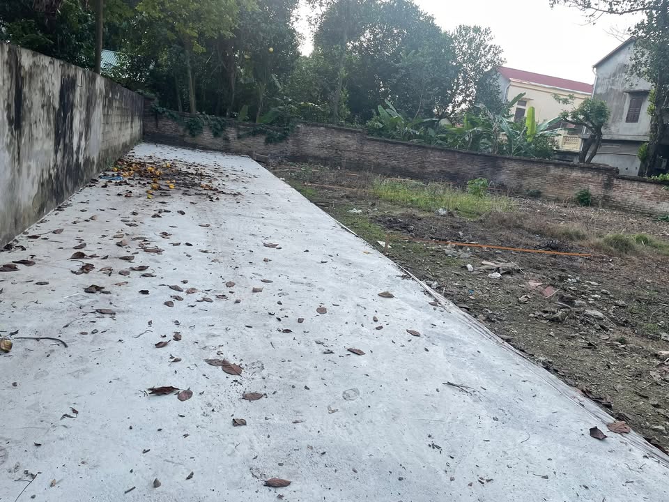 Đất nền khu phố 14, phường Thanh Miếu, 65m² giá 2 tỷ - Đầu tư sinh lời ngay!