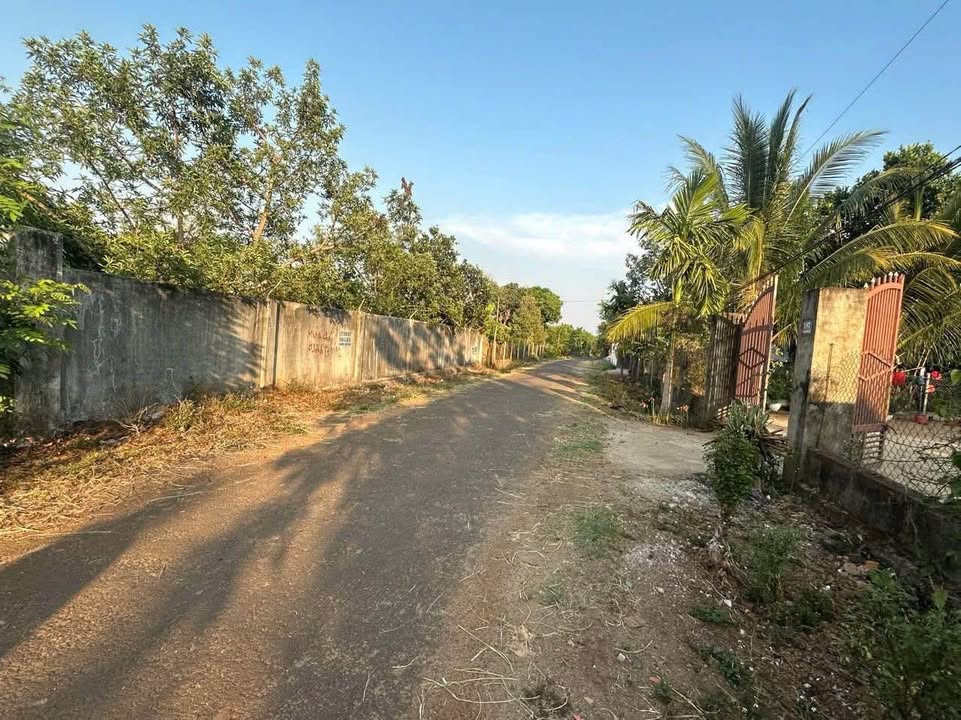 Đất nền Ea Kao 450m² giá 1 tỷ - Cơ hội đầu tư tuyệt vời!