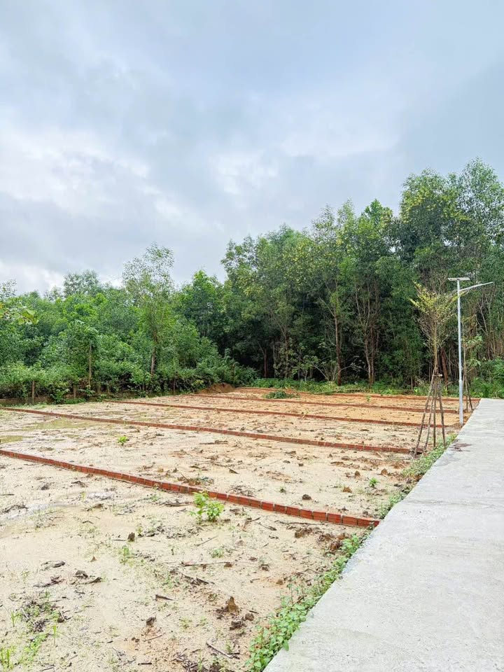 Đất nền Hòa Tiến Đà Nẵng 120m² - Giá thỏa thuận, sổ đỏ chính chủ!