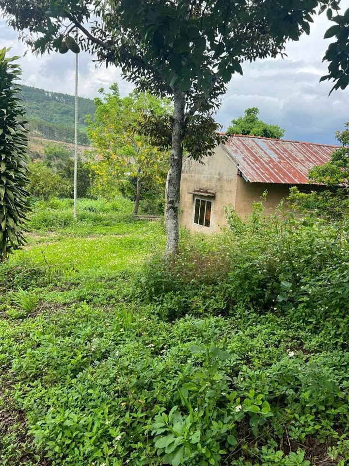 Lô đất Farm Đông Thanh Lâm Hà 7355m² giá 8.2 tỷ - Cơ hội đầu tư hấp dẫn!