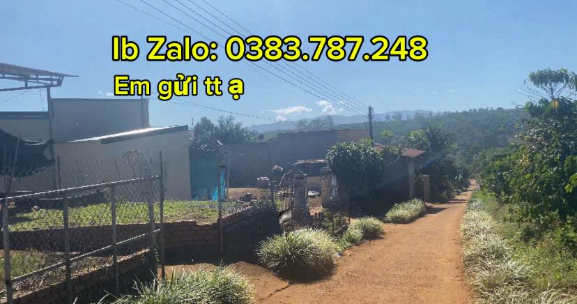 Bán gấp nhà cấp 4 xã Di Linh, 300m² chỉ 1 tỷ - Cơ hội đầu tư tuyệt vời!