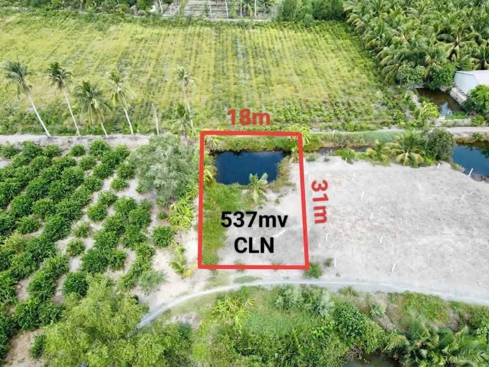 Đất vườn Thủ Thừa Long An 537m² giá 499 triệu - Cơ hội đầu tư tuyệt vời!