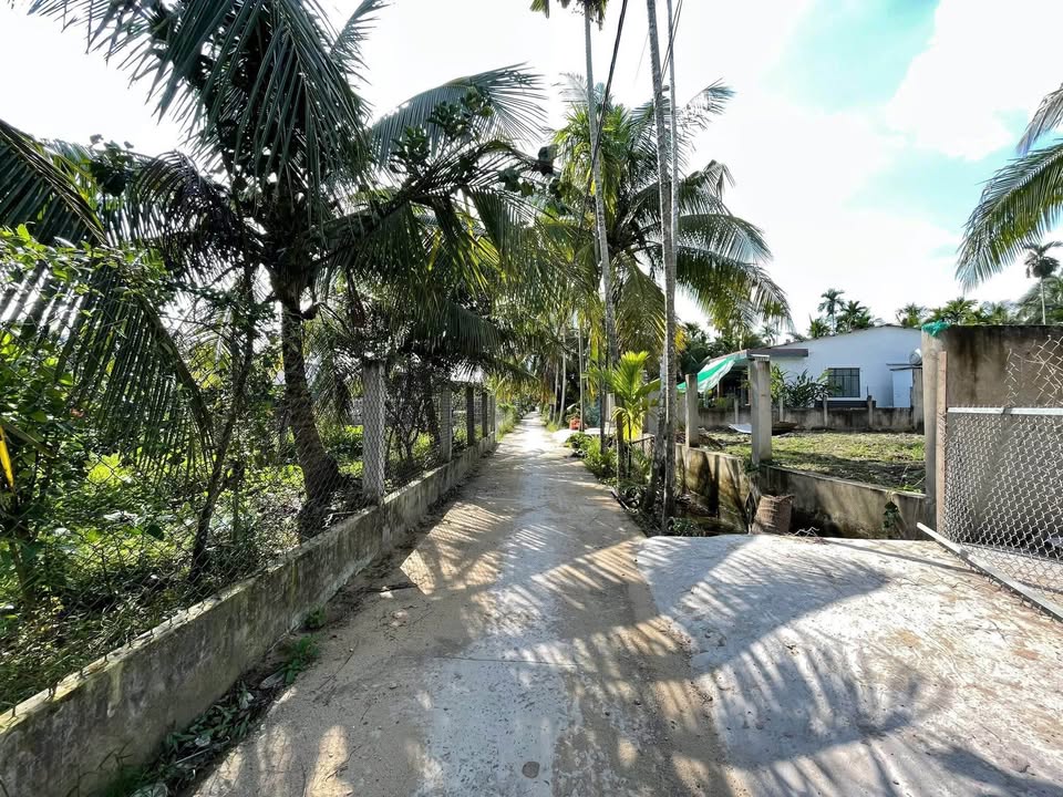 Đất trồng cây lâu năm tại xã Kim Sơn, Đồng Tháp 701m² - Cơ hội đầu tư tiềm năng!