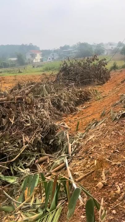 Đất nền xã Lương Sơn - Yên Lập 4500m² giá tốt - Đầu tư sinh lời ngay!