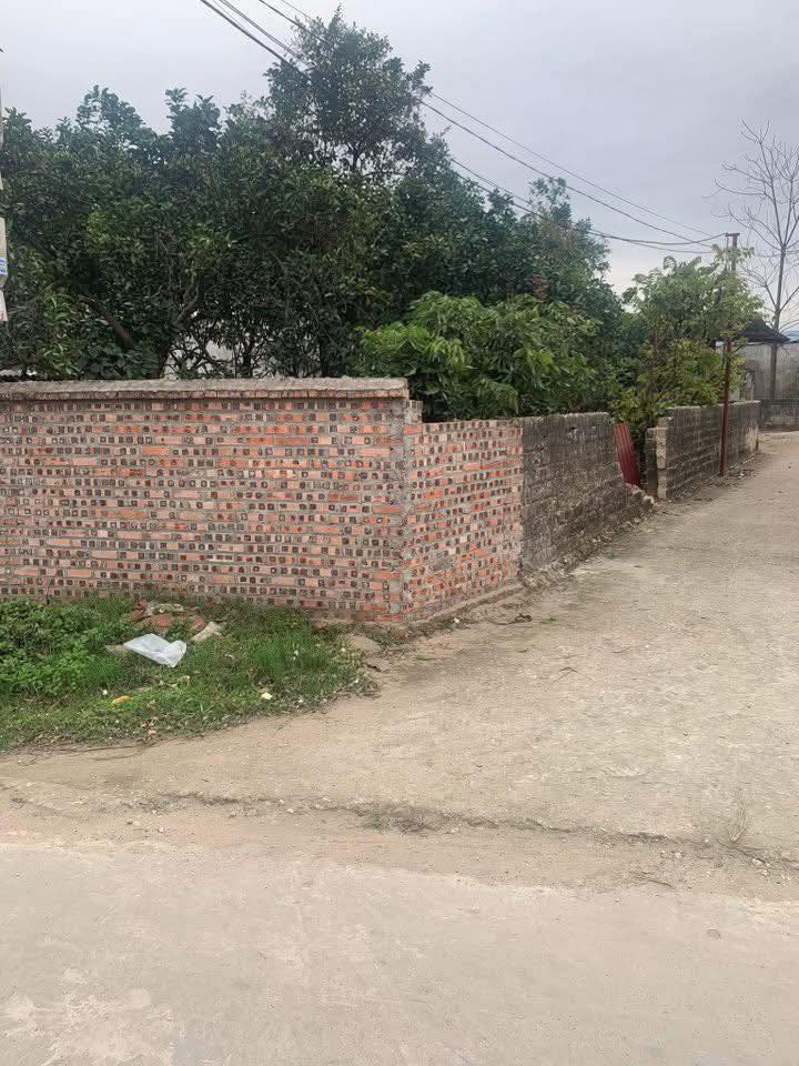 Đất nền TDP Tân Hợp, thị trấn Bắc Lý 161m² giá 1 tỷ - Đầu tư sinh lời ngay!