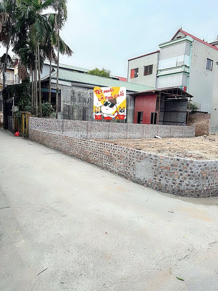 Đất nền Vĩnh Yên 207m² giá chỉ 23 triệu/m² - Sở hữu ngay lô góc tuyệt đẹp!