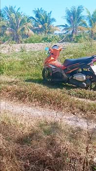 Đất nền Chòm Dừa, Đồng Khởi, Châu Thành 2340m² - Giá chỉ 200 triệu, nở hậu 7m!