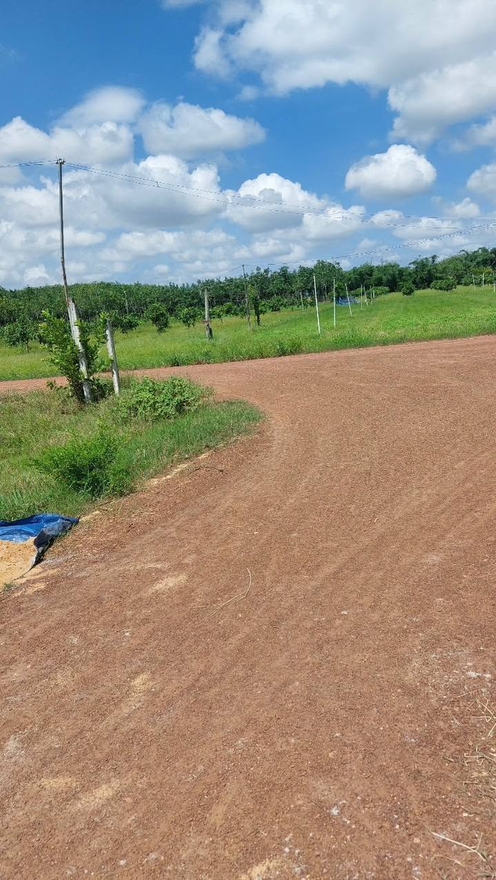 Đất xã Phan Dương Minh Châu 260m² giá 500 triệu - Bán gấp, thương lượng tốt!