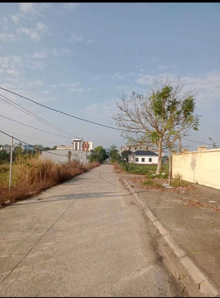 Đất nền Phú Lộc Nho Quan 100m² giá chỉ 1xxx - Cơ hội đầu tư tuyệt vời!