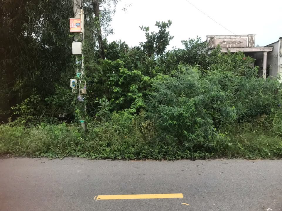 Đất thổ cư 957m² tại Gò Cát - 2.3 tỷ, vị trí đẹp cho đầu tư