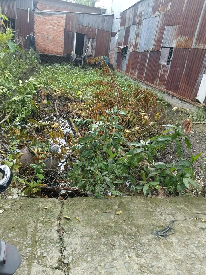 Đất nền 97m² tại An Thái Trung, Cái Bè - Giá chỉ 300 triệu, vị trí đẹp!