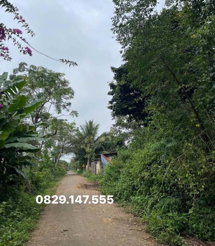 Đất nền Hòa Thắng Buôn Ma Thuột 438m² giá 2.15 tỷ - Pháp lý rõ ràng, đầu tư sinh lời!