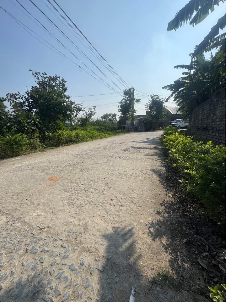 Đất thổ cư Thần Lĩnh 236m² giá thỏa thuận - Cơ hội đầu tư vàng!