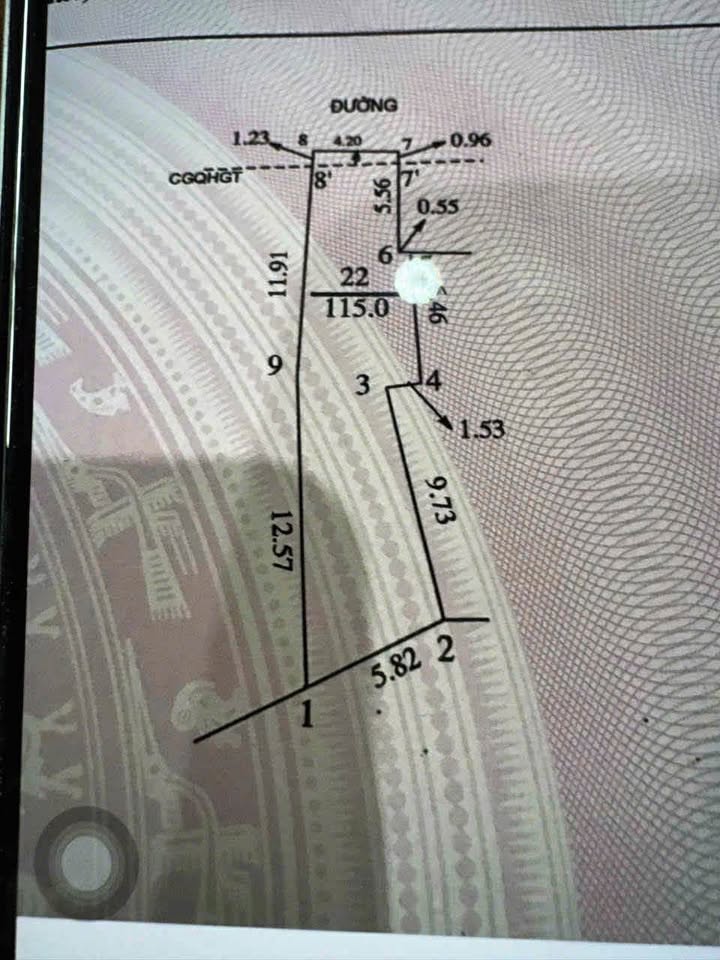 Đất mặt đường Ngô Đức Kế Vinh 115m² giá 6.99 tỷ - Vị trí kinh doanh đắc địa!