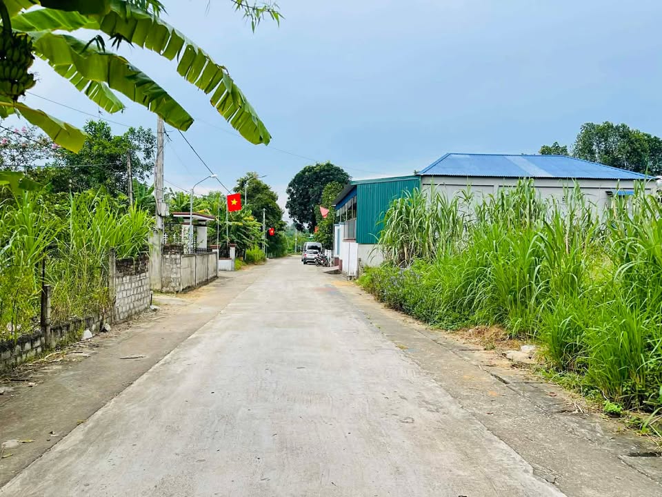 Đất nền Tân Kỳ 272m² giá chỉ 8xx triệu - Cơ hội đầu tư nhanh chóng!