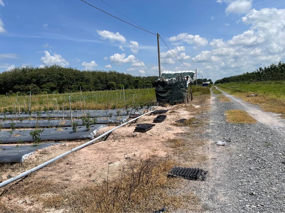 Đất nền Hòa Hiệp Tân Biên 1700m² giá 1.9 tỷ - Cơ hội đầu tư hiếm có!