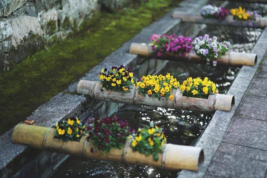 Đất vườn tại phường Mỹ Thới, An Giang - 1.000m² giá 905 triệu - Cơ hội đầu tư tuyệt vời!