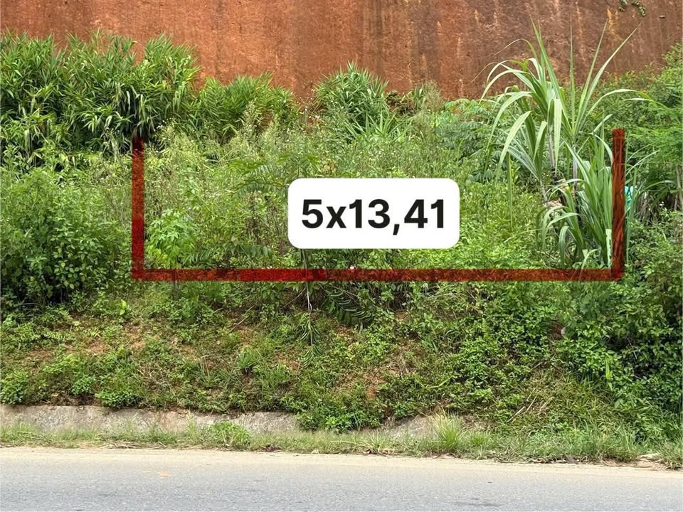 Đất mặt đường 316, xã Võ Miếu, huyện Thanh Sơn 66,9m² giá chỉ 700 triệu - Cơ hội đầu tư sinh lời!