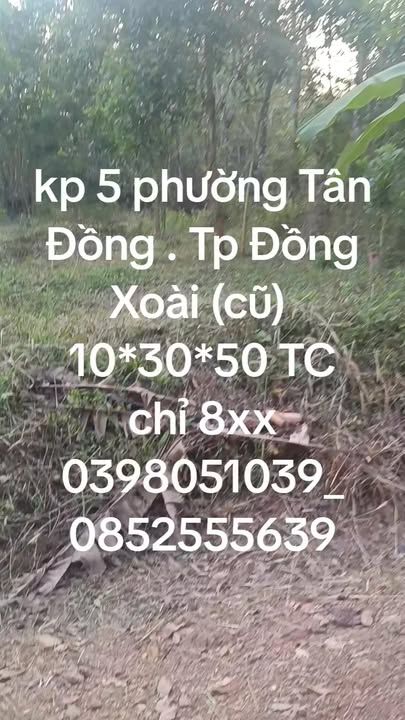 Đất nền Tân Đồng, Đồng Xoài 300m² giá chỉ 800 triệu - Cơ hội đầu tư tuyệt vời!