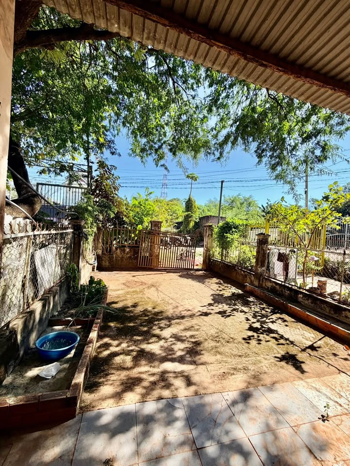 Nhà cấp 4 mặt tiền Trần Quang Diệu, 215m² giá 1.85 tỷ - Đất nuôi gà thoải mái!