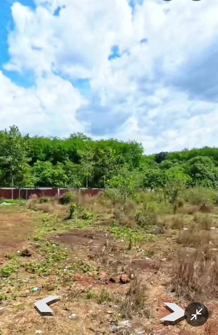 Đất thổ cư 285m² tại Thuận Hòa, Đồng Phú - Giá chỉ 1.1 tỷ, thương lượng ngay!