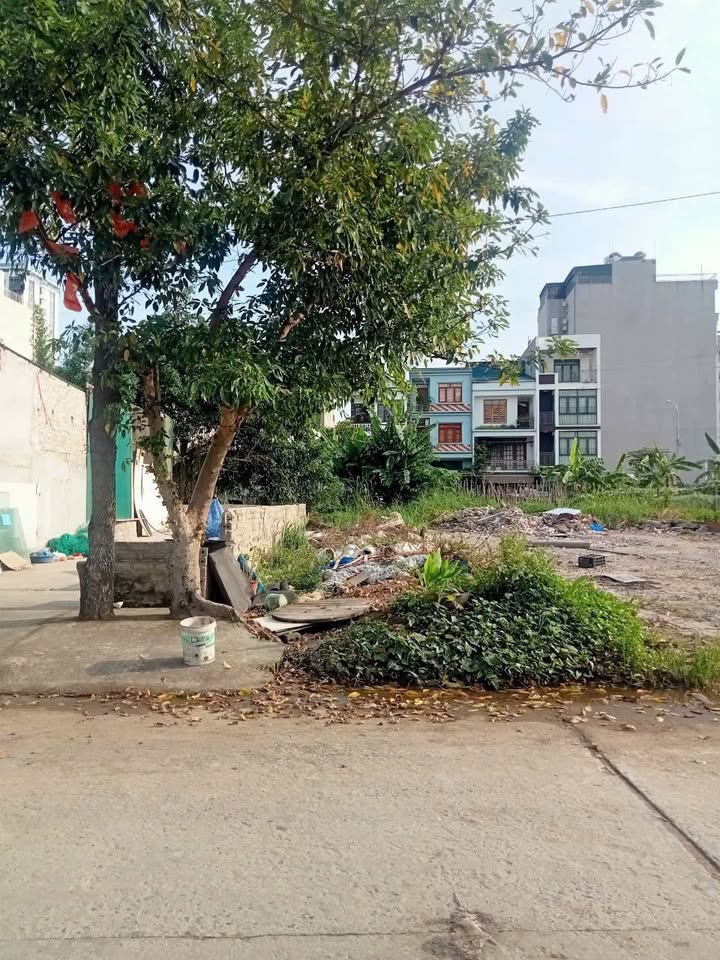 Bán FrontHouse Hùng Thắng Hạ Long 71m² giá 3 tỷ - Mặt tiền 4m, vị trí đắc địa!