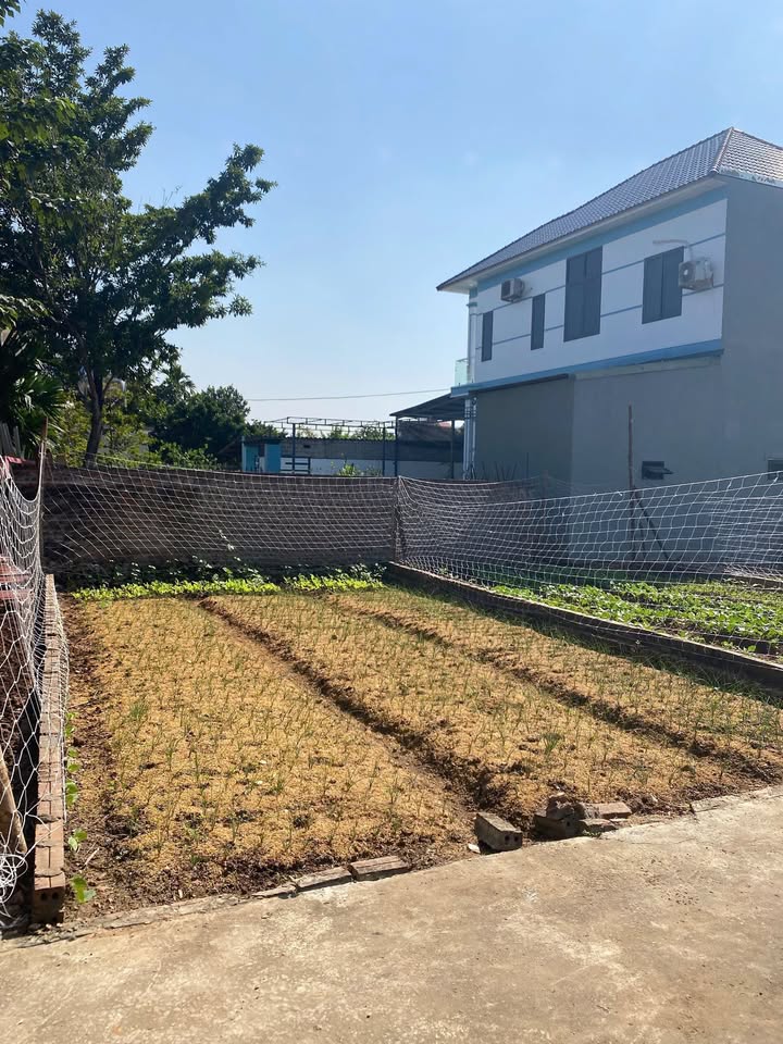 Đất nền Tích Giang Phúc Thọ 47,5m² chỉ 1,1 tỷ - Cơ hội đầu tư hấp dẫn!