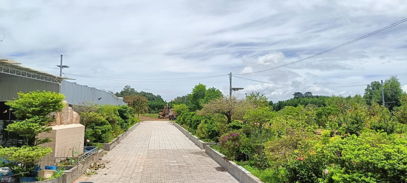 Đất nông nghiệp 5,1ha tại xã Đức Linh, Lâm Đồng giá 30 tỷ - Gần trục đường chính