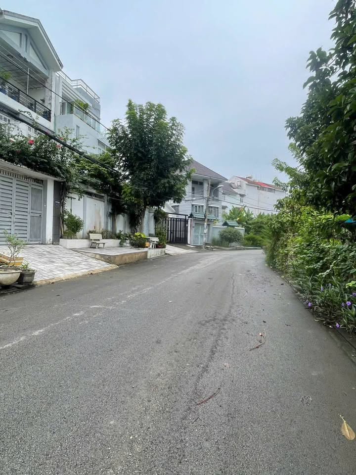 Đất nền Bình Hưng 175.5m² giá 12.4 tỷ - Đầu tư sinh lời ngay!