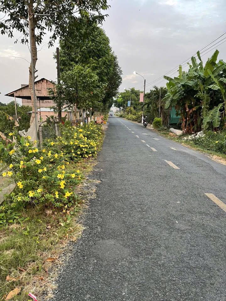 Đất nền mặt tiền lộ nhựa Thới Lai 1000m² giá 2.8 tỷ - Cơ hội đầu tư sinh lời