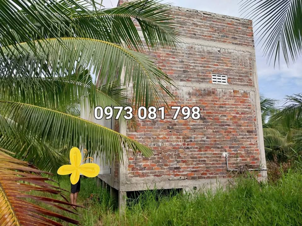 Đất cây lâu năm 1.031m² tại xã Đại Điền, Vĩnh Long - Giá chỉ 400 triệu!