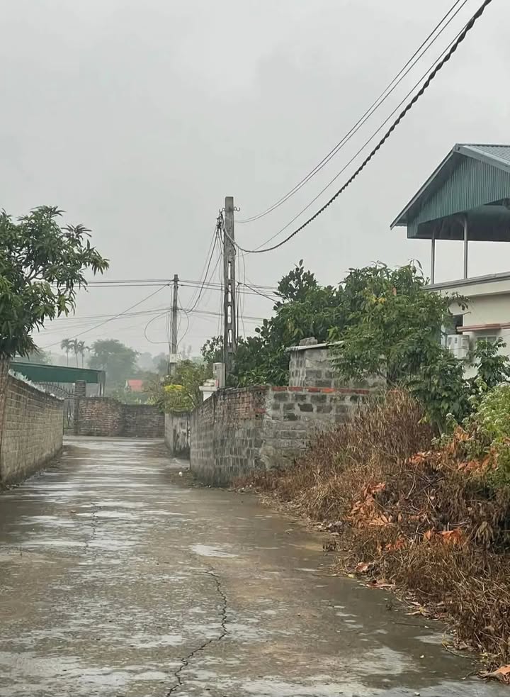 Đất nền Cây Sằm, Tiền An 300m² giá 2.55 tỷ - Cơ hội đầu tư hấp dẫn!