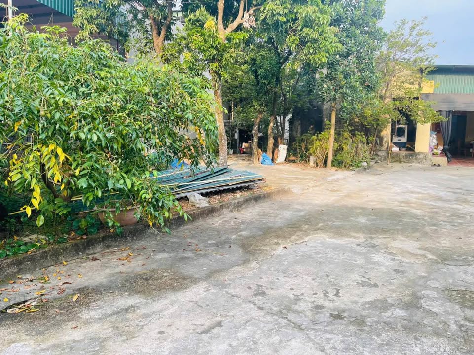 Đất thổ cư Quang Trung Bỉm Sơn 130m² giá thỏa thuận - Cơ hội đầu tư hiếm có!