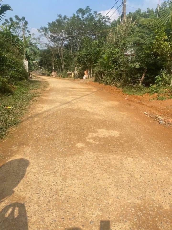 Đất thổ cư 392m² Làng Sung, xã Xuân Phú chỉ 400 triệu - Cơ hội đầu tư không thể bỏ lỡ!