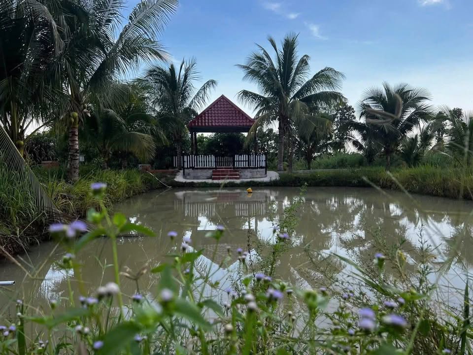 Đất cây trồng 16.552m² tại xã Hàm Liêm, giá thỏa thuận - Phù hợp làm nhà vườn nghỉ dưỡng!