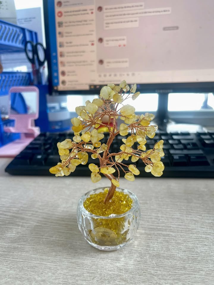 Nhà riêng Phường An Phong 60m² giá chỉ 500 triệu - Tiện ích đầy đủ, giao thông thuận lợi!