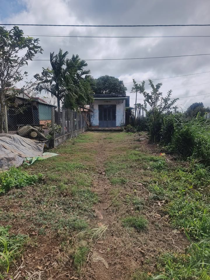 Đất mặt tiền Quốc Lộ 14, Phường Cư Bao, 423.5m² giá 2.55 tỷ - Cơ hội đầu tư sinh lời!