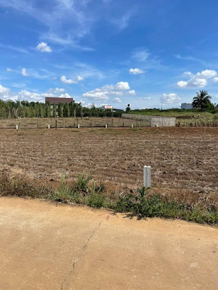 Đất nền Tân Hội Đức Trọng 190m² giá 850 triệu - Sổ hồng riêng, công chứng ngay!