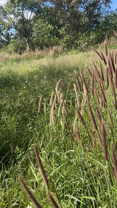 Đất trống Đắk Nia 25,200m² giá tốt - Sổ đỏ chính chủ!