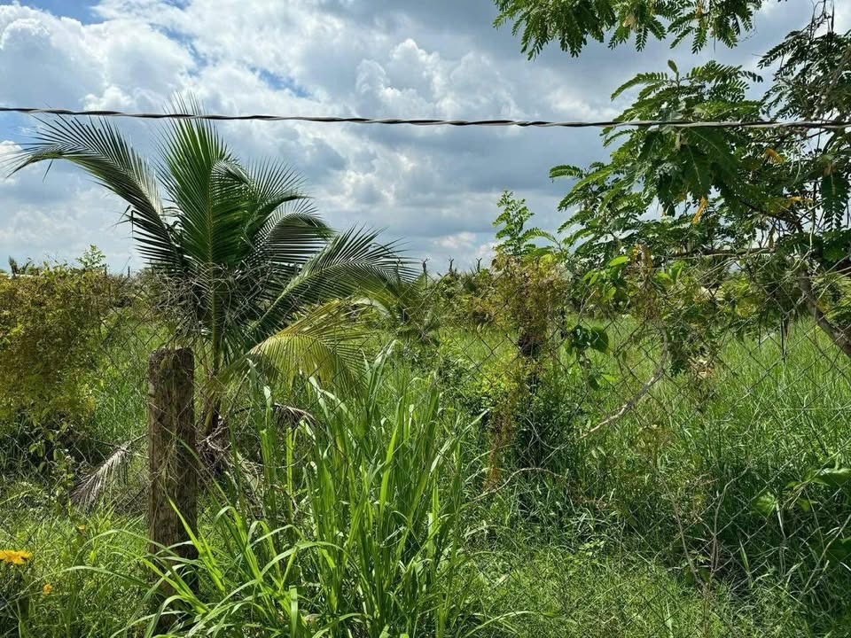 Đất nền 311m² tại Ấp Nhựt Tân, Tiền Giang - Khu dân cư thân thiện, giá đầu tư tốt!