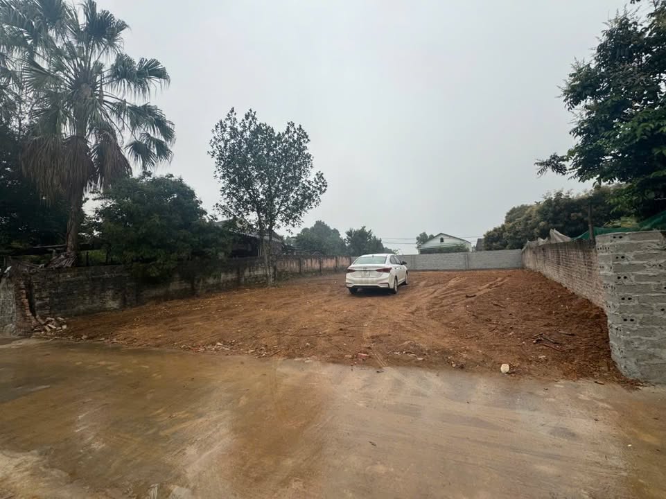 Đất nền Suối Hai, Ba Vì 297m² chỉ 1 tỷ - Cơ hội đầu tư tuyệt vời!