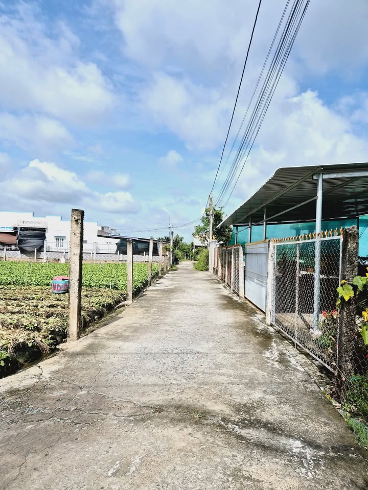 Đất nền Gò Công, Tiền Giang 2123m² giá chỉ 2.2 tỷ - Đầu tư sinh lời ngay!