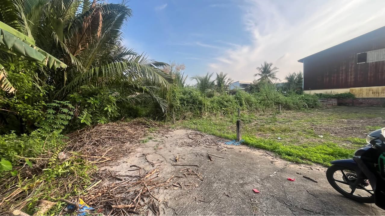 Đất nền 137m² khu tái định cư 923, Cần Thơ - Sổ hồng chính chủ, giá thỏa thuận!