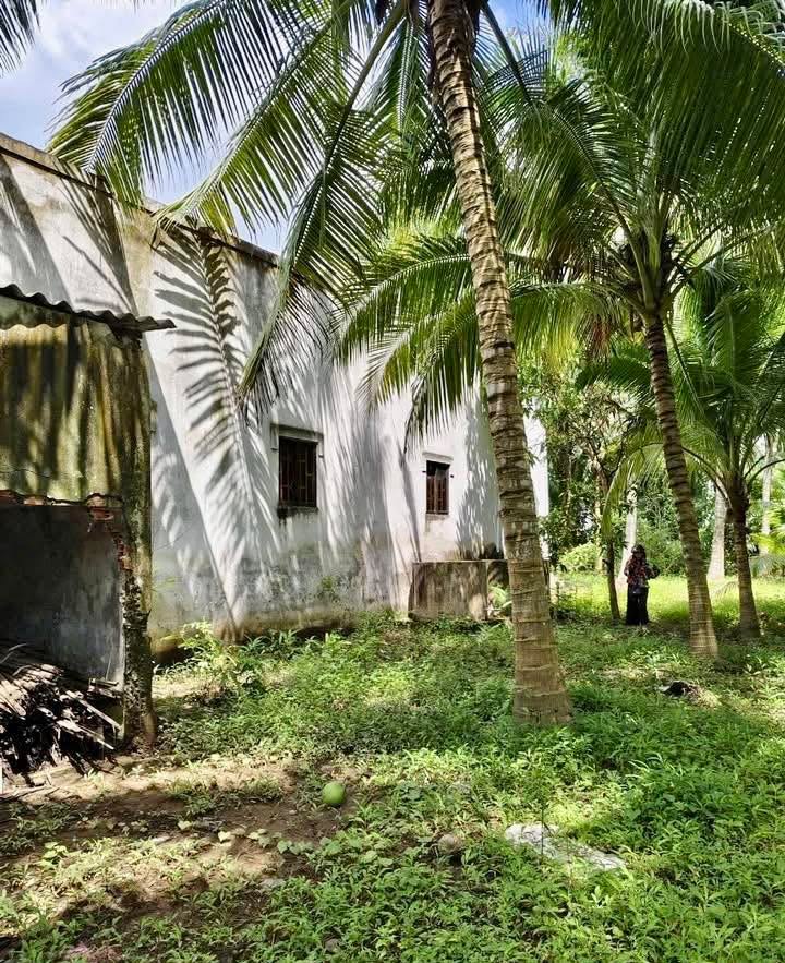 Đất vườn Định Thủy 2300m² giá 900 triệu - Tặng căn nhà cấp 4!