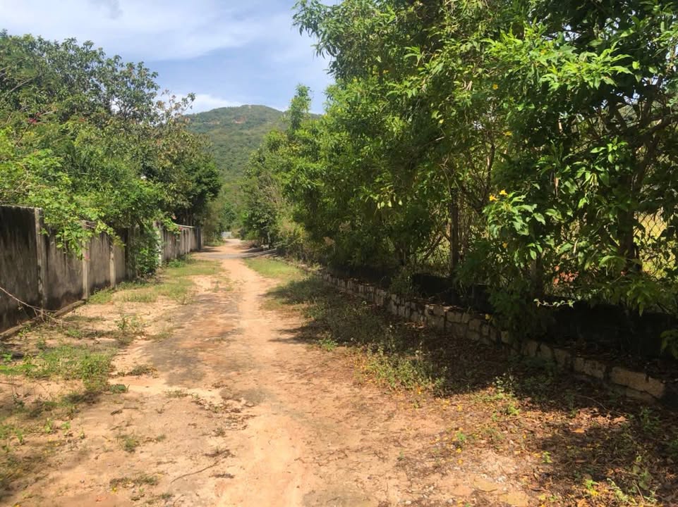 Đất thương mại dịch vụ 6000m² tại Long Hải - Giá 21 tỷ, view biển tuyệt đẹp!