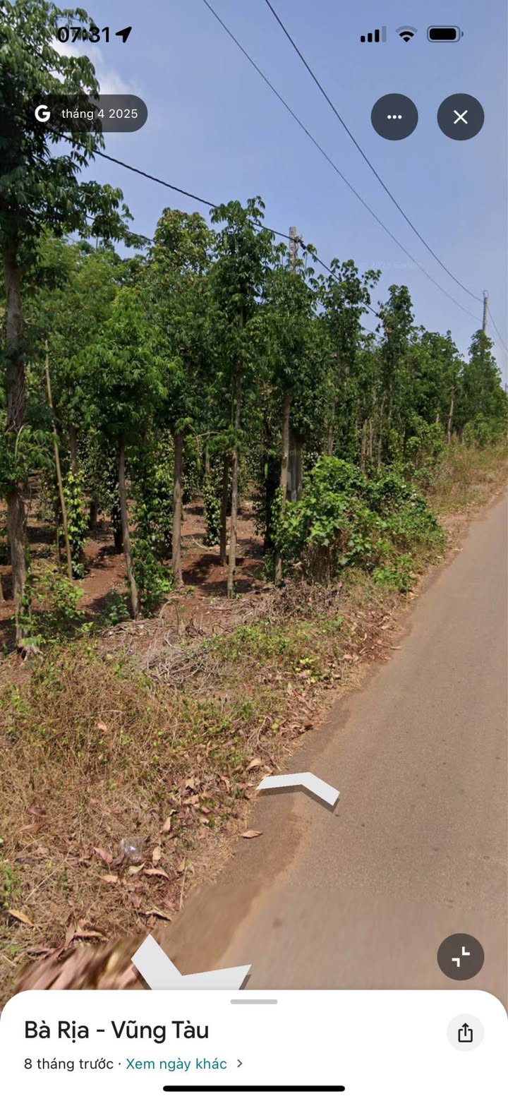 Đất nền Bình Trung Châu Đức 3.200m² giá 2.5 tỷ - Sổ hồng riêng, đầu tư tiềm năng!