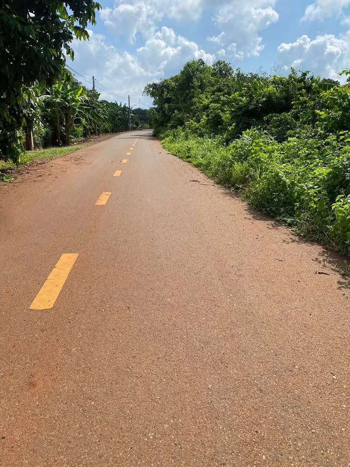 Đất nền Long Tân 145m² giá 800 triệu - Cơ hội đầu tư hấp dẫn!