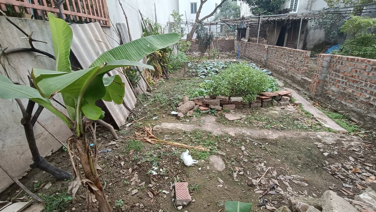 Đất nền Đông Mỹ, Thanh Trì 52m² giá 3.495 tỷ - Vị trí thuận lợi, giao dịch ngay!