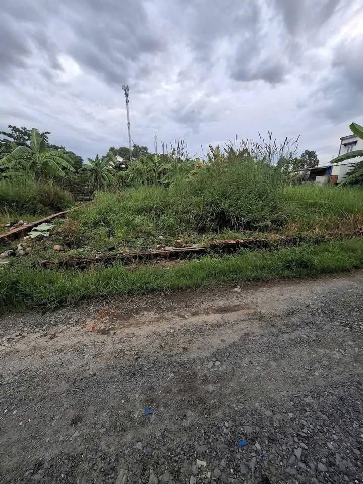 Đất nền Bình Mỹ Củ Chi 99m² giá 2.3 tỷ - Sổ đỏ chính chủ, xây dựng tự do!